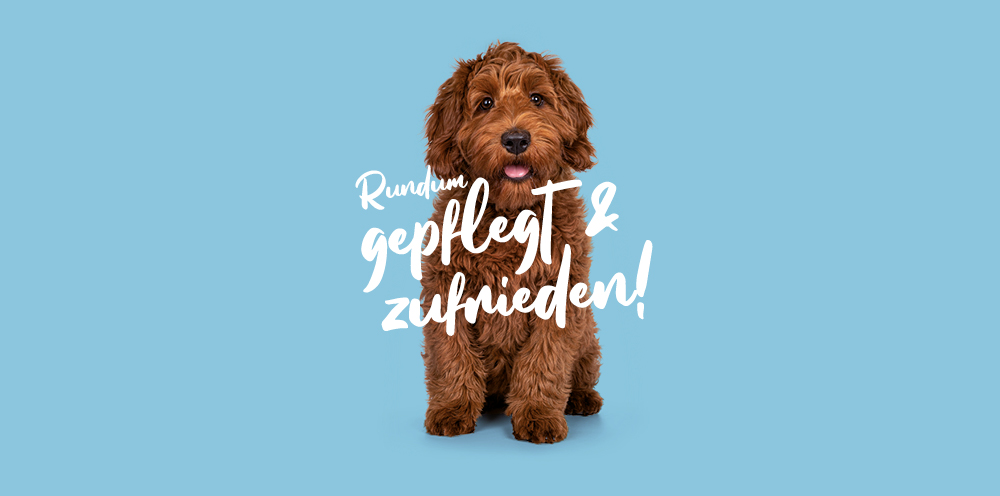 Sugars Fellfreuden
